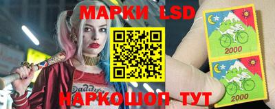 стафф Шелехов