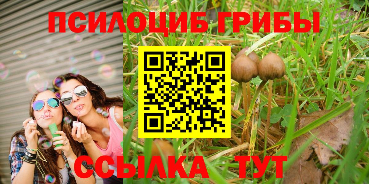 Галлюциногенные грибы Magic Shrooms Зерноград