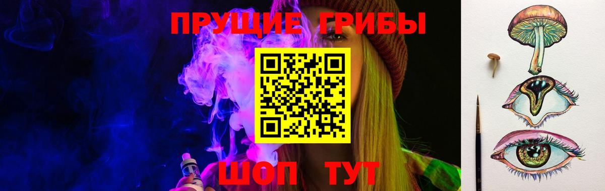 Зерноград  Псилоцибиновые грибы мицелий  Вход с VPN 